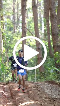 BIB:  <button type="button" onclick="openModal(26569659)" class="btn btn-primary btn-sm float-right" data-toggle="modal" data-target=".modal-high-quality">
                <i class="fa fa-download"></i> Download
                </button>